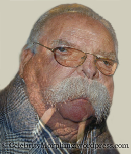 Wilford Brimley and a Walrus Morphed